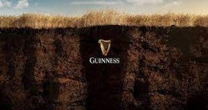 Guinness launches farm program to reduce greenhouse gas emissions